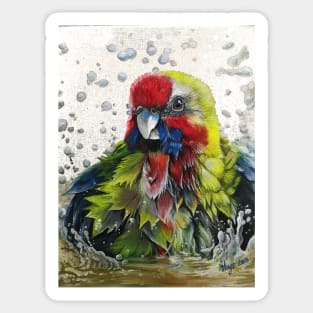 Australian Rosella Bathing Sticker